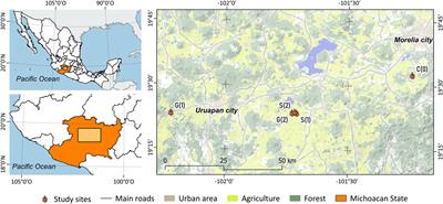 Ground Fire Legacy Effects on Water-Dynamics of Volcanic Tropical Soils